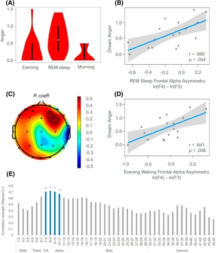 Beispielstudien Zur Schlaf-Eeg-Analyse In Der Traumdeutung