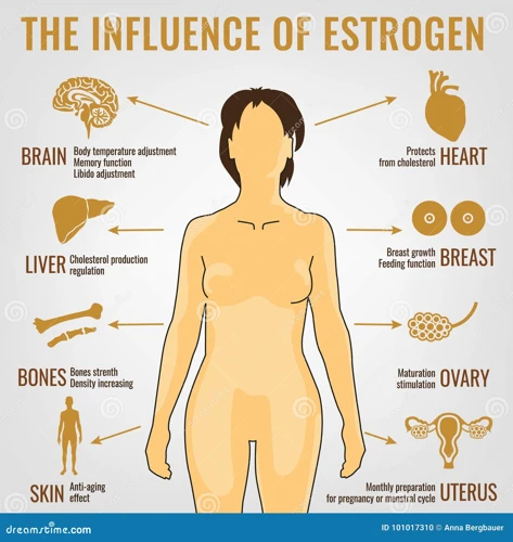 Einfluss Der Hormone Auf Den Körper