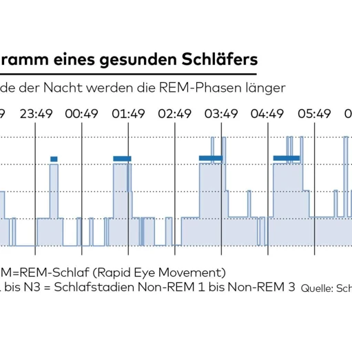 Rem-Schlafzyklus