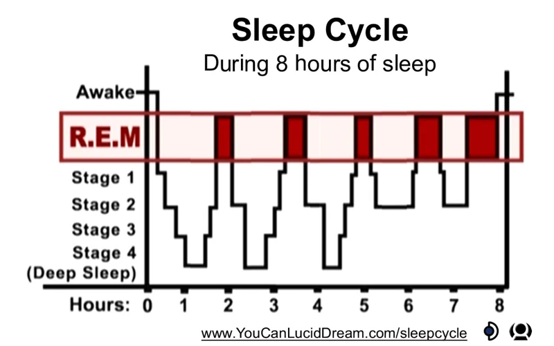 Rem-Schlafphase Und Traumerkennung