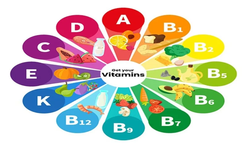 Die Rolle Von Vitaminen Und Mineralien