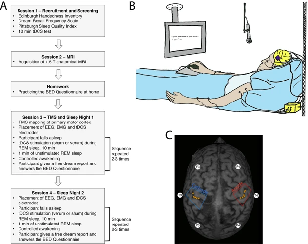 Das Schlaf-Eeg Und Die Traumdeutung